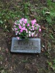 Kemper Angela Dusick